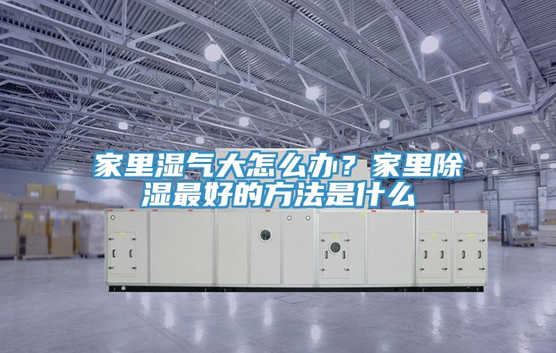 家里湿气大怎么办？家里除湿最好的方法是什么