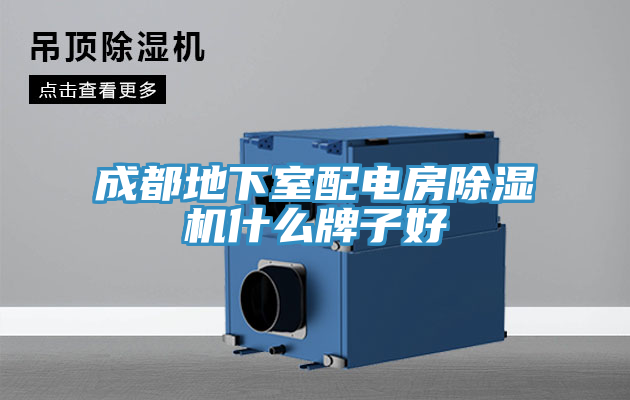 成都地下室配电房小黄片直播视频什么牌子好