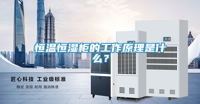 恒温恒湿柜的工作原理是什么？