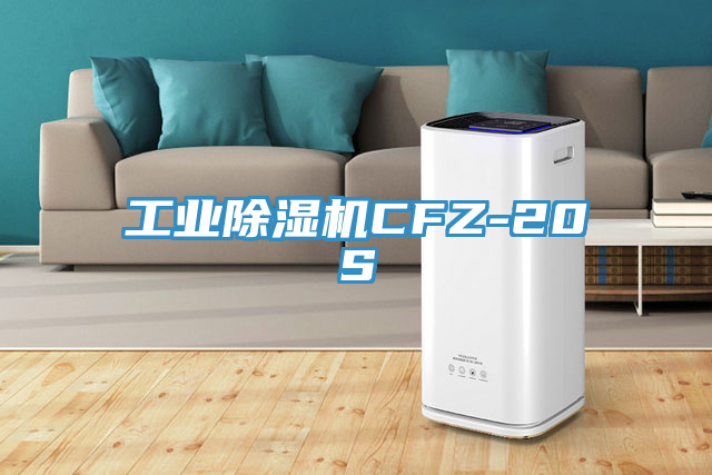 工业小黄片直播视频CFZ-20S