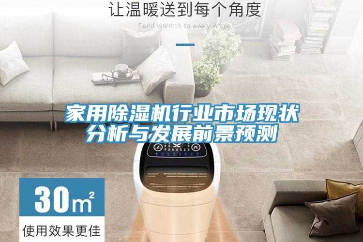 家用小黄片直播视频行业市场现状分析与发展前景预测