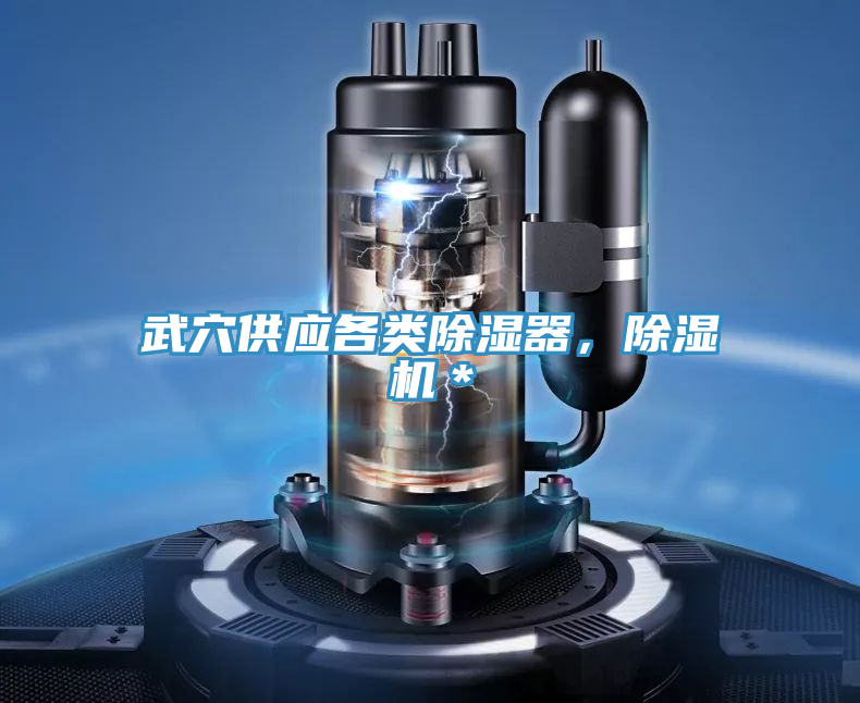 武穴供应各类除湿器，小黄片直播视频＊