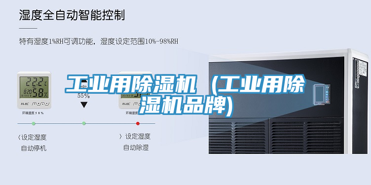 工业用小黄片直播视频 (工业用小黄片直播视频品牌)