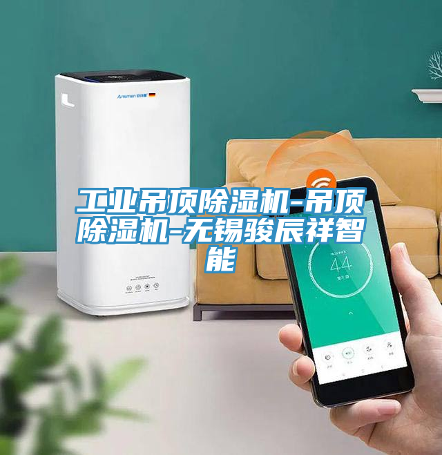 工业吊顶小黄片直播视频-吊顶小黄片直播视频-无锡骏辰祥智能