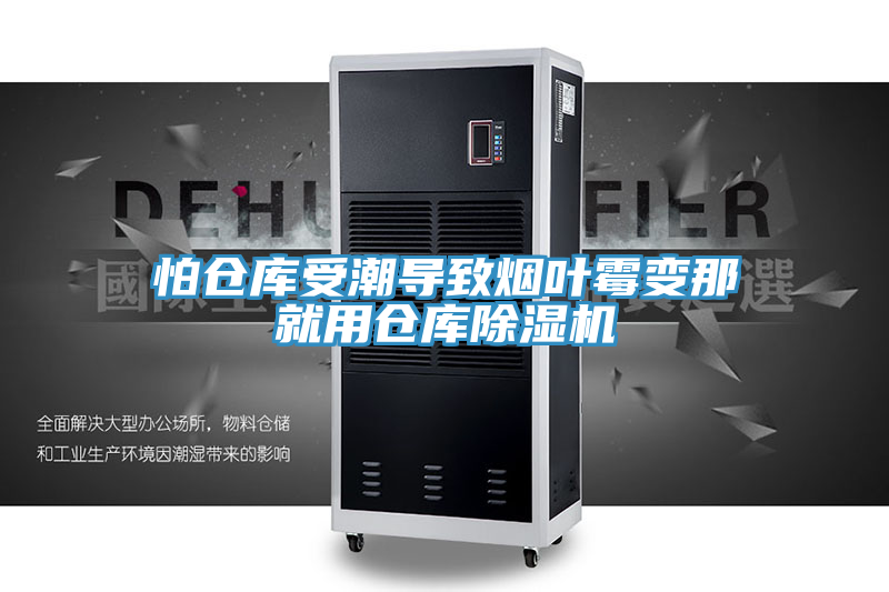 怕仓库受潮导致烟叶霉变那就用仓库小黄片直播视频