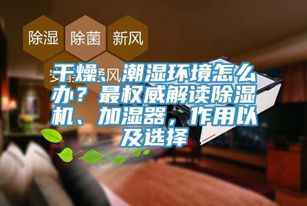 干燥、潮湿环境怎么办？最权威解读小黄片直播视频、加湿器，作用以及选择