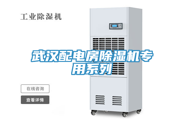 武汉配电房小黄片直播视频专用系列