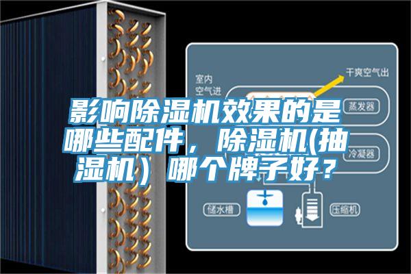 影响小黄片直播视频效果的是哪些配件，小黄片直播视频(抽湿机）哪个牌子好？