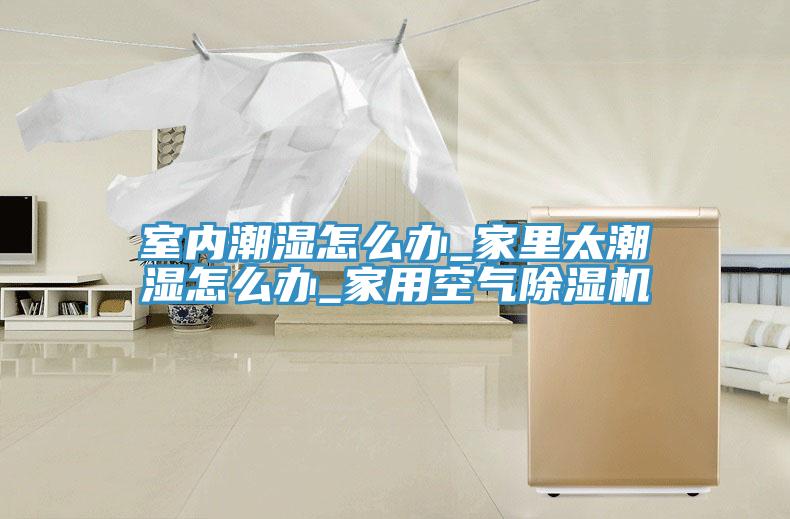 室内潮湿怎么办_家里太潮湿怎么办_家用空气小黄片直播视频