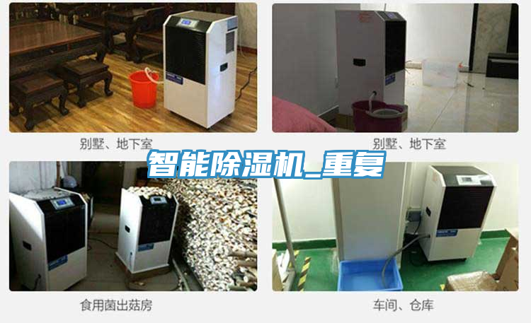 智能小黄片直播视频_重复