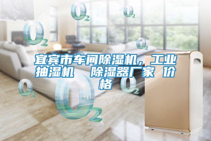 宜宾市车间小黄片直播视频，工业抽湿机  除湿器厂家 价格