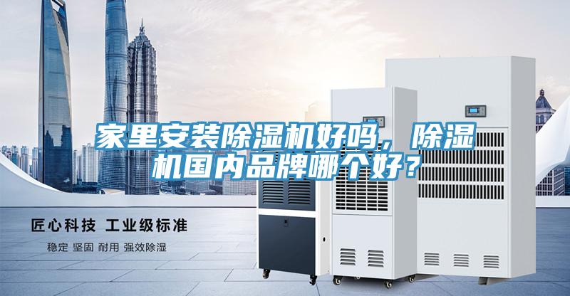 家里安装小黄片直播视频好吗，小黄片直播视频国内品牌哪个好？
