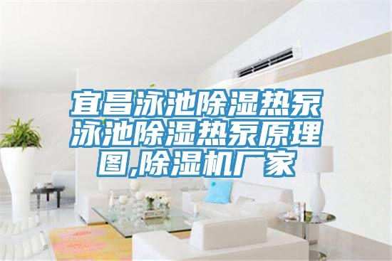 宜昌泳池除湿热泵泳池除湿热泵原理图,小黄片直播视频厂家