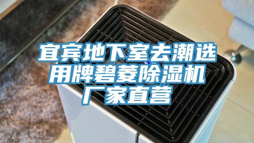 宜宾地下室去潮选用牌碧菱小黄片直播视频厂家直营
