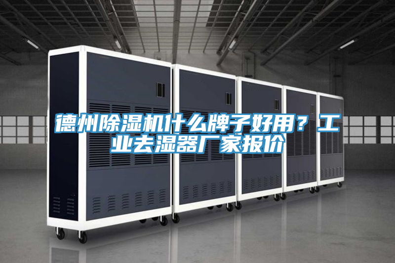 德州小黄片直播视频什么牌子好用？工业去湿器厂家报价