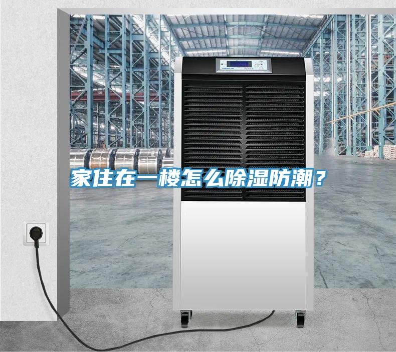家住在一楼怎么除湿防潮？