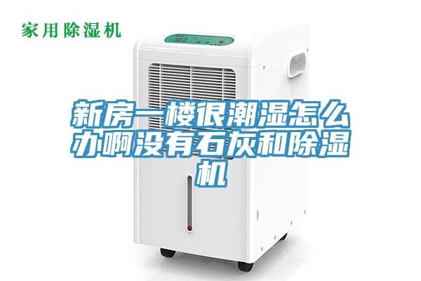 新房一楼很潮湿怎么办啊没有石灰和小黄片直播视频