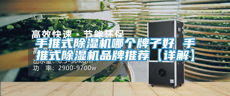 手推式小黄片直播视频哪个牌子好 手推式小黄片直播视频品牌推荐【详解】