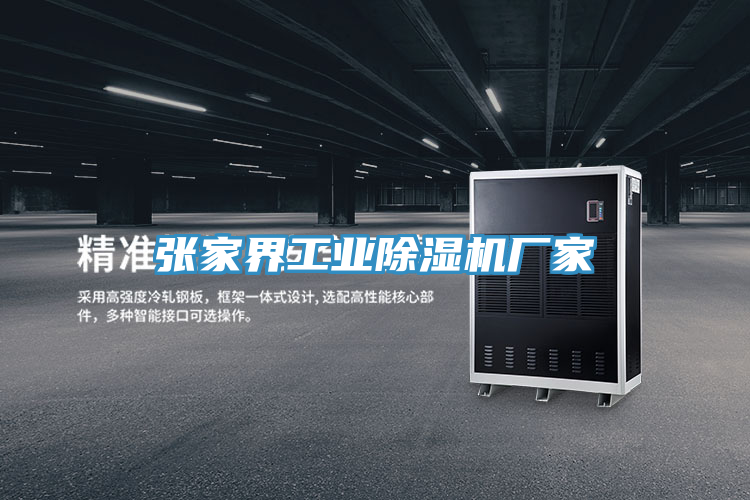 张家界工业小黄片直播视频厂家