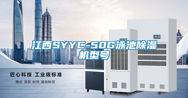 江西SYYC-50G泳池小黄片直播视频型号