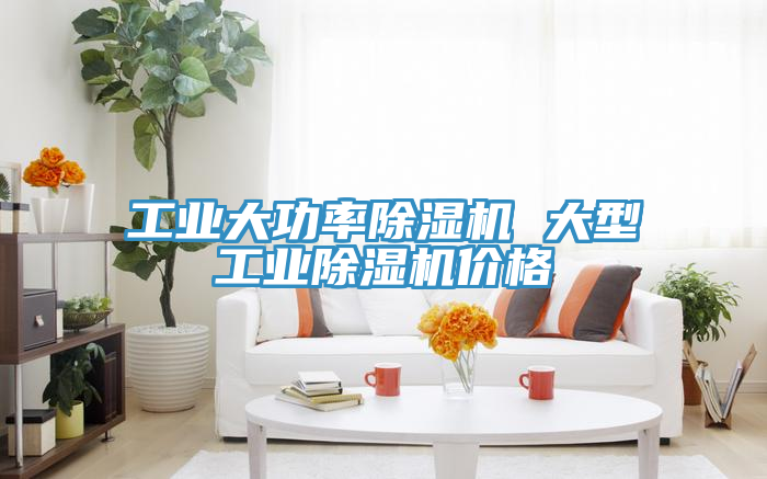 工业大功率小黄片直播视频 大型工业小黄片直播视频价格