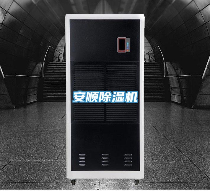 安顺小黄片直播视频