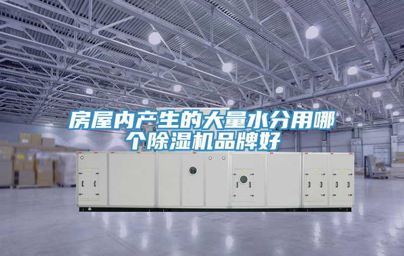 房屋内产生的大量水分用哪个小黄片直播视频品牌好