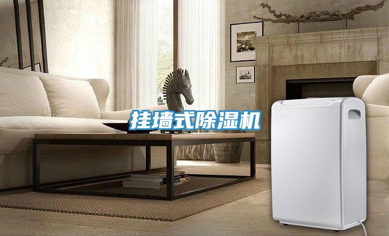 挂墙式小黄片直播视频