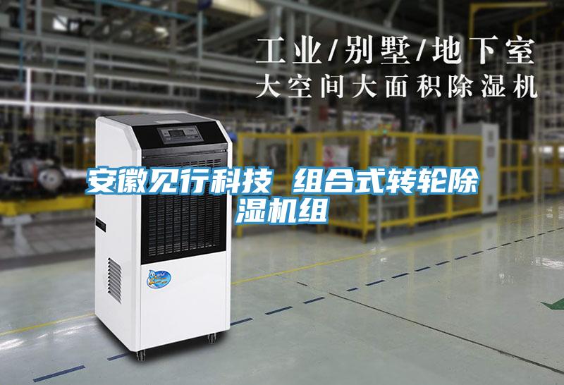 安徽见行科技 组合式转轮小黄片直播视频组