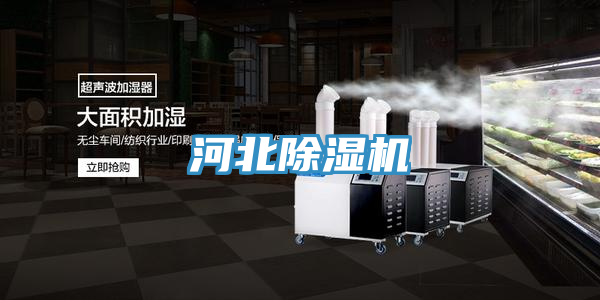 河北小黄片直播视频