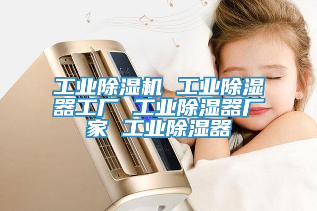 工业小黄片直播视频 工业除湿器工厂 工业除湿器厂家 工业除湿器