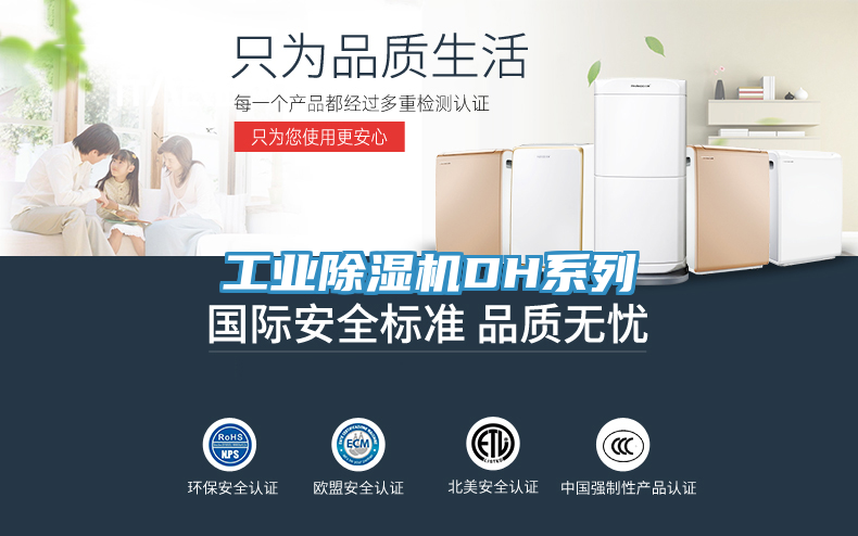 工业小黄片直播视频DH系列