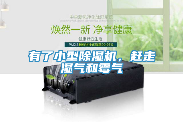 有了小型小黄片直播视频，赶走湿气和霉气