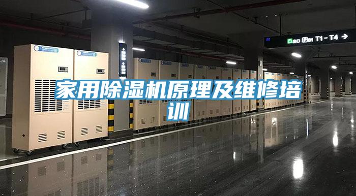家用小黄片直播视频原理及维修培训