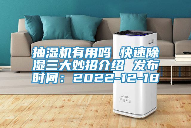 抽湿机有用吗 快速除湿三大妙招介绍 发布时间：2022-12-18