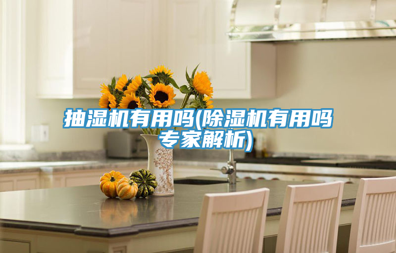 抽湿机有用吗(小黄片直播视频有用吗 专家解析)