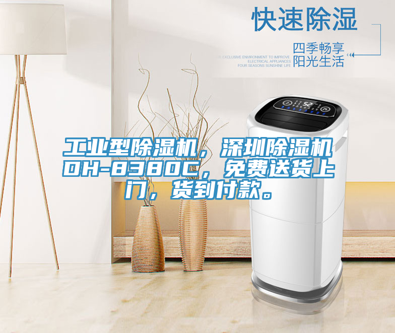 工业型小黄片直播视频，深圳小黄片直播视频DH-8380C，免费送货上门，货到付款。