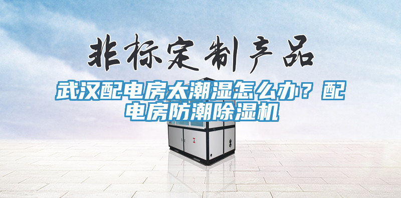 武汉配电房太潮湿怎么办？配电房防潮小黄片直播视频