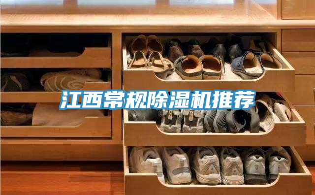 江西常规小黄片直播视频推荐