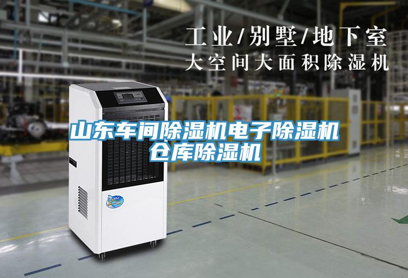 山东车间小黄片直播视频电子小黄片直播视频仓库小黄片直播视频