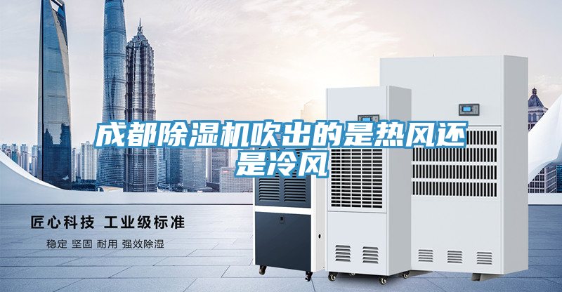 成都小黄片直播视频吹出的是热风还是冷风