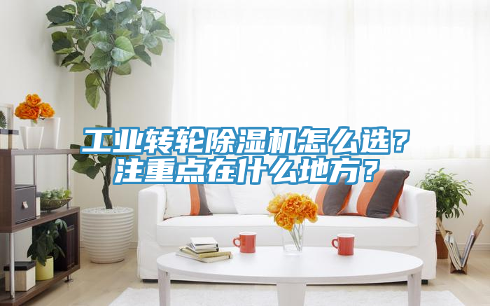 工业转轮小黄片直播视频怎么选？注重点在什么地方？