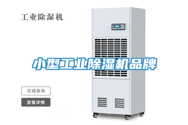 小型工业小黄片直播视频品牌
