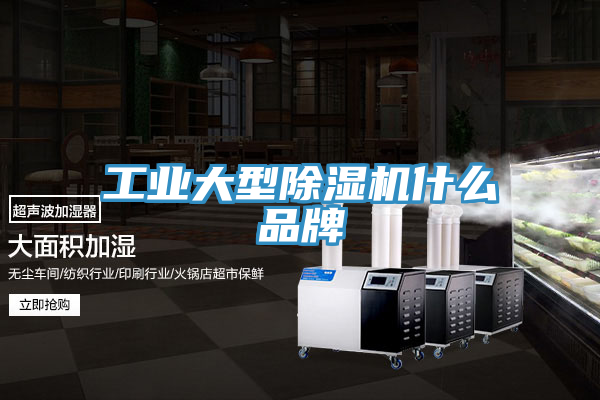 工业大型小黄片直播视频什么品牌