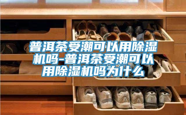 普洱茶受潮可以用小黄片直播视频吗-普洱茶受潮可以用小黄片直播视频吗为什么