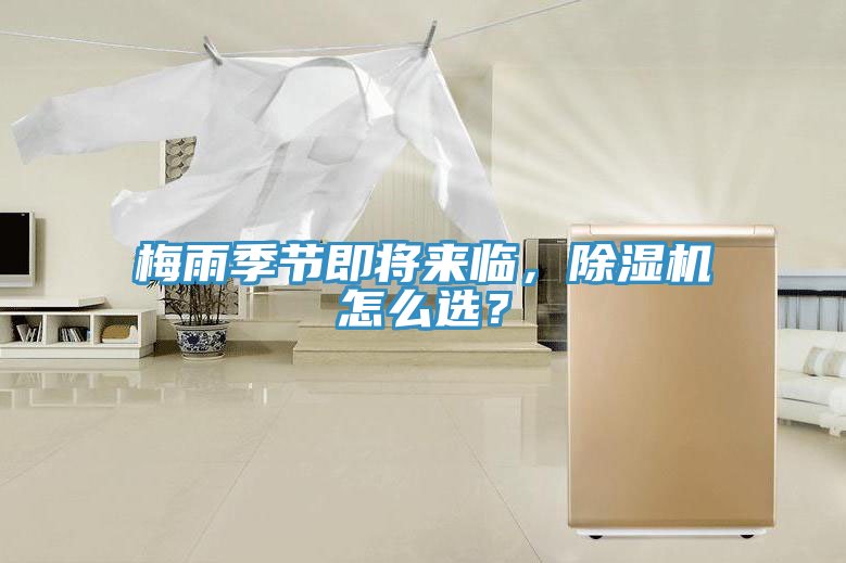 梅雨季节即将来临，小黄片直播视频怎么选？