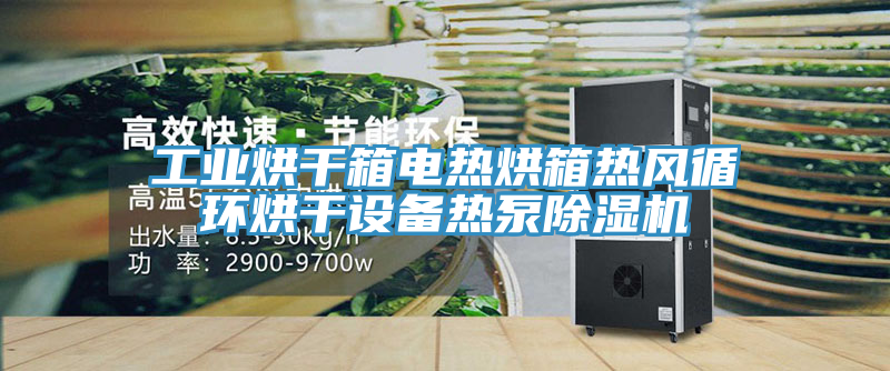 工业烘干箱电热烘箱热风循环烘干设备热泵小黄片直播视频