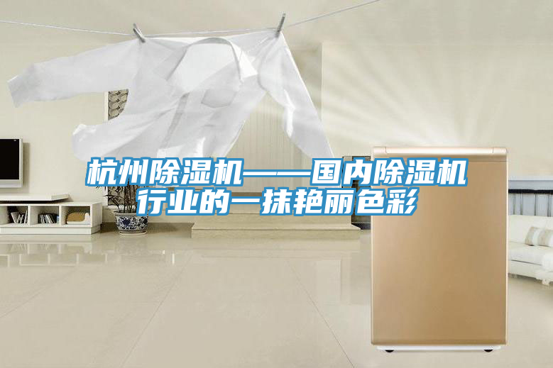 杭州小黄片直播视频——国内小黄片直播视频行业的一抹艳丽色彩