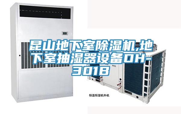 昆山地下室小黄片直播视频,地下室抽湿器设备DH-301B