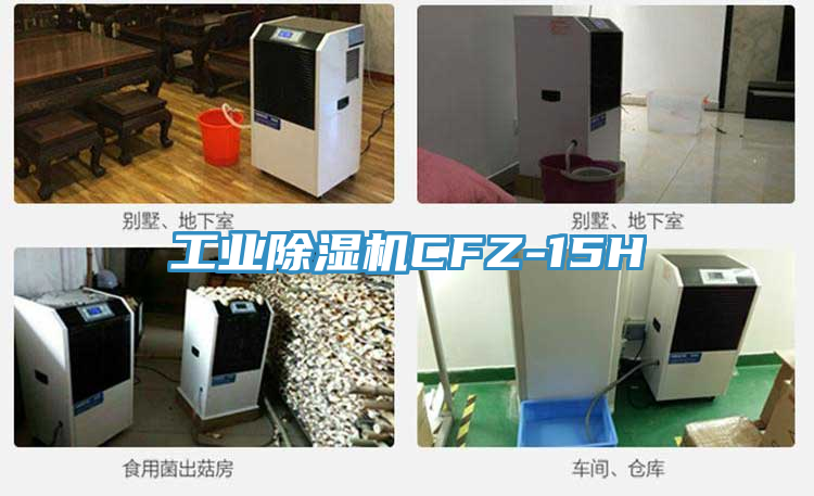 工业小黄片直播视频CFZ-15H